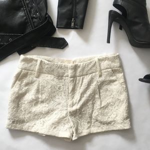 White lace Dress Shorts